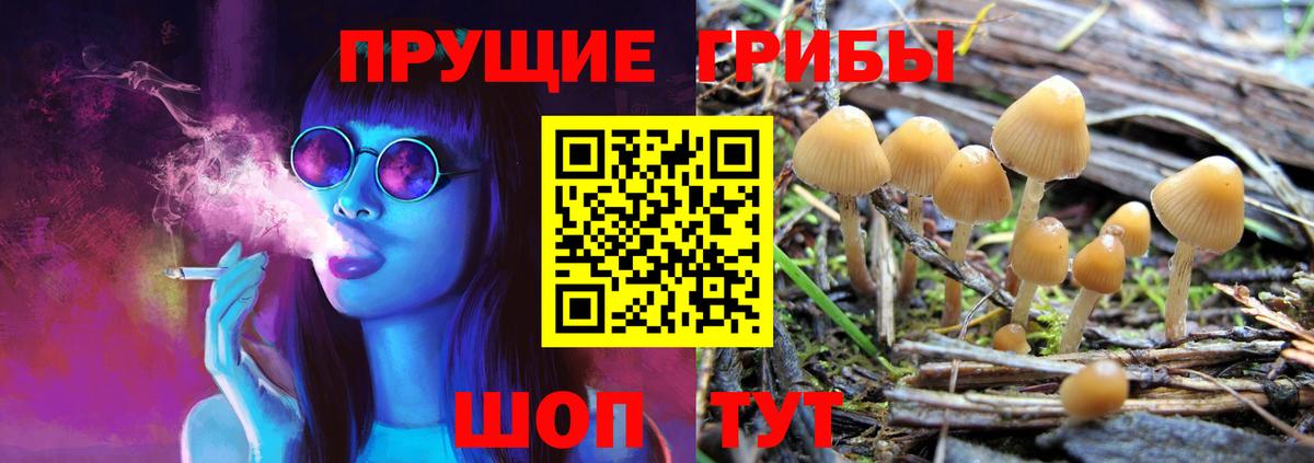 Псилоцибиновые грибы мухоморы Протвино