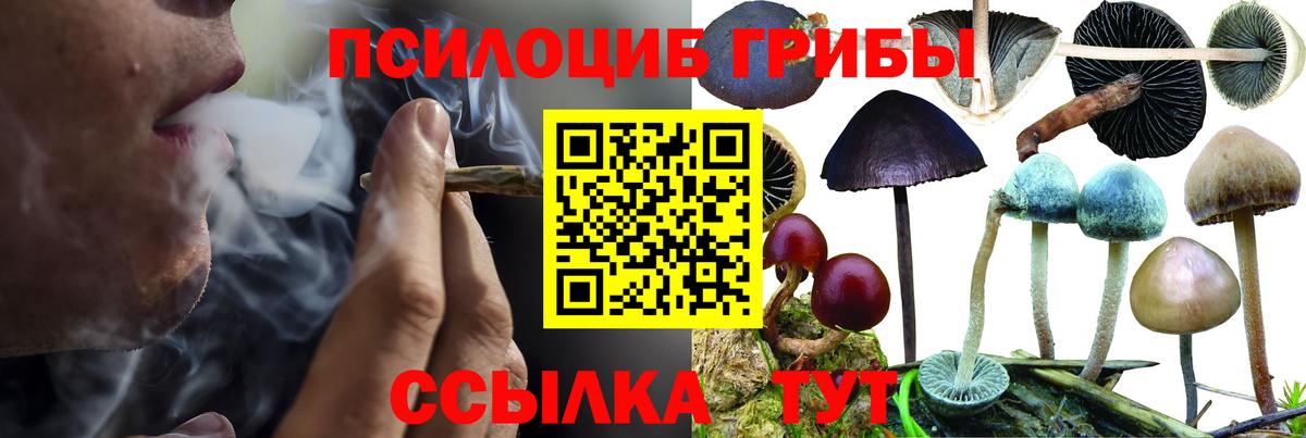 Протвино  Галлюциногенные грибы Magic Shrooms  закладка  Псилоцибиновые грибы MAGIC MUSHROOMS  Вход с VPN 